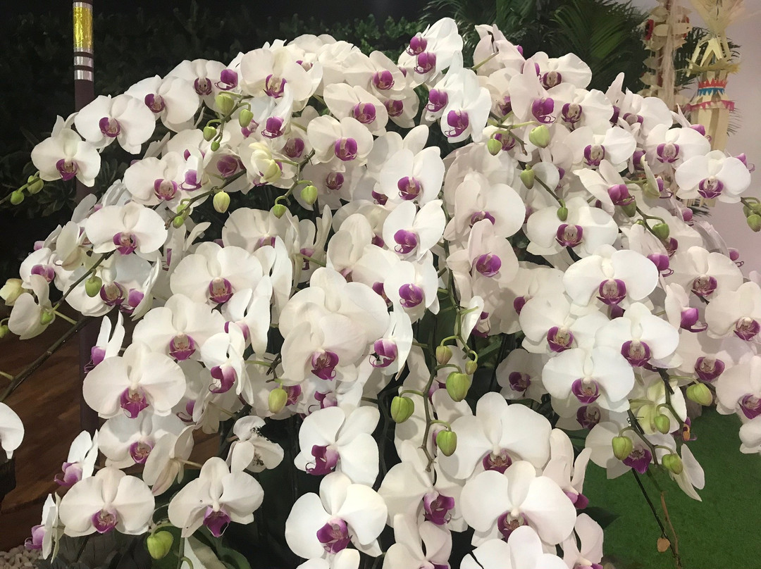 Danny Juljol Homestay主图