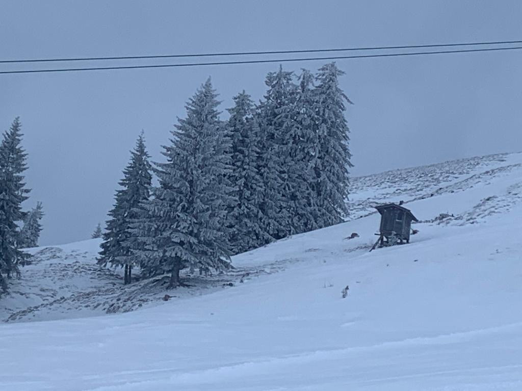 Hotel Feldwebel主图