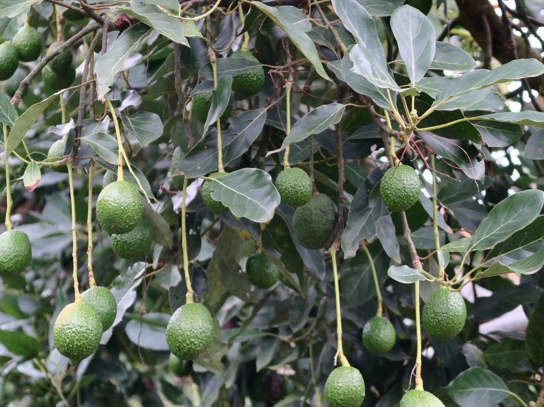 Casa Santamaria Hotel Campestre主图