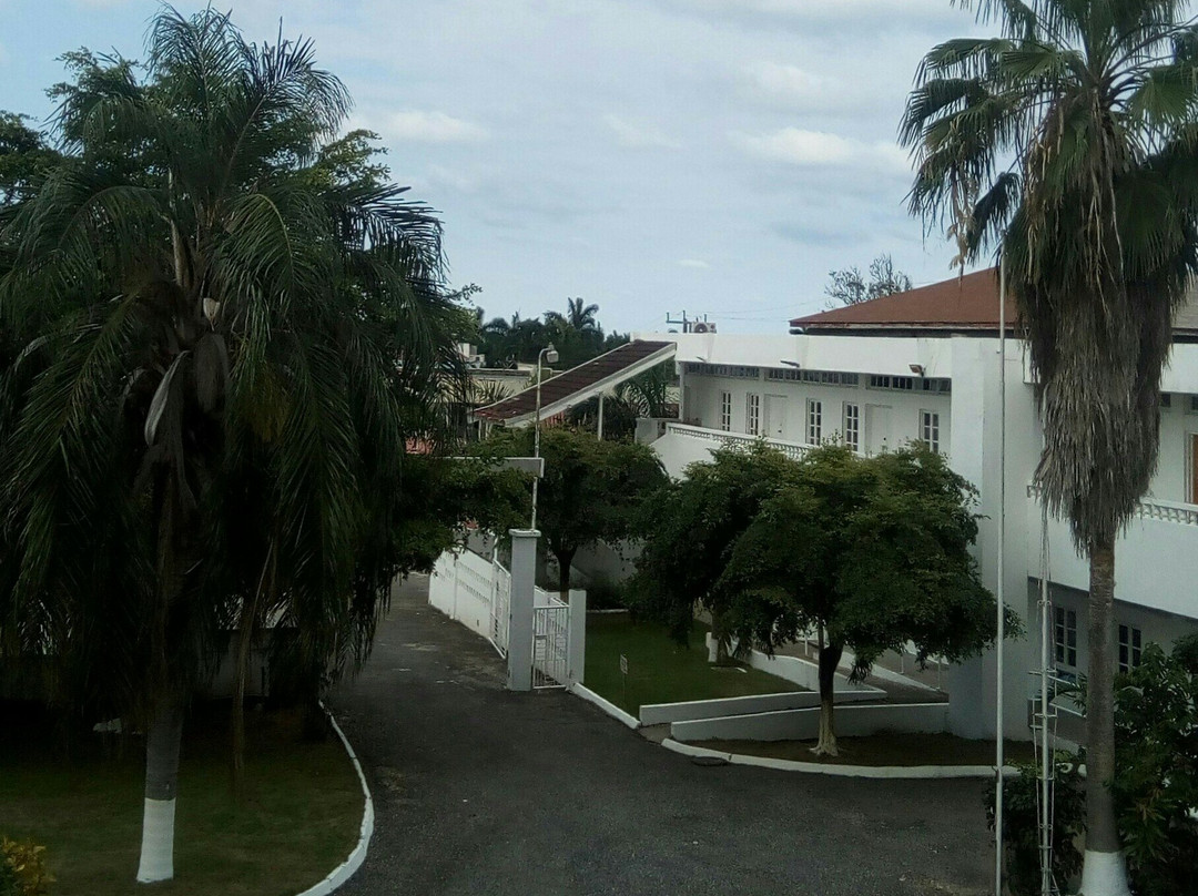 Sea Shell Palms主图