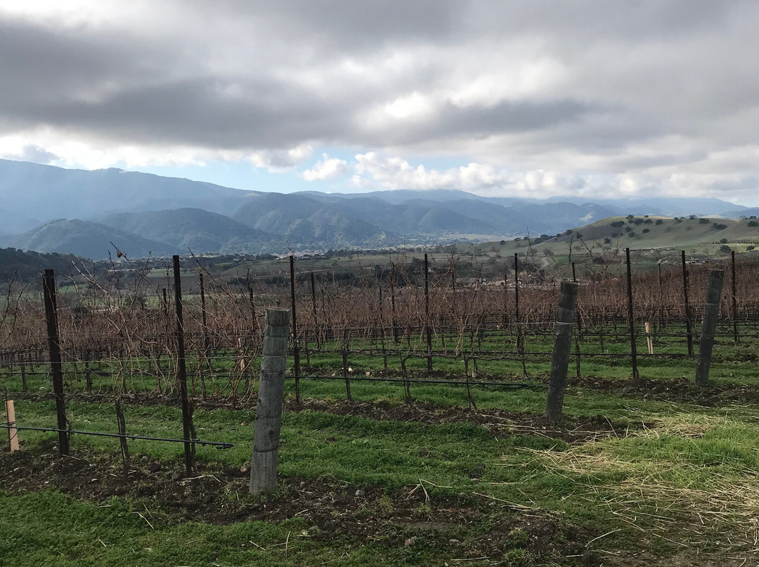 Appellation Wine Tours-奥海必去景点