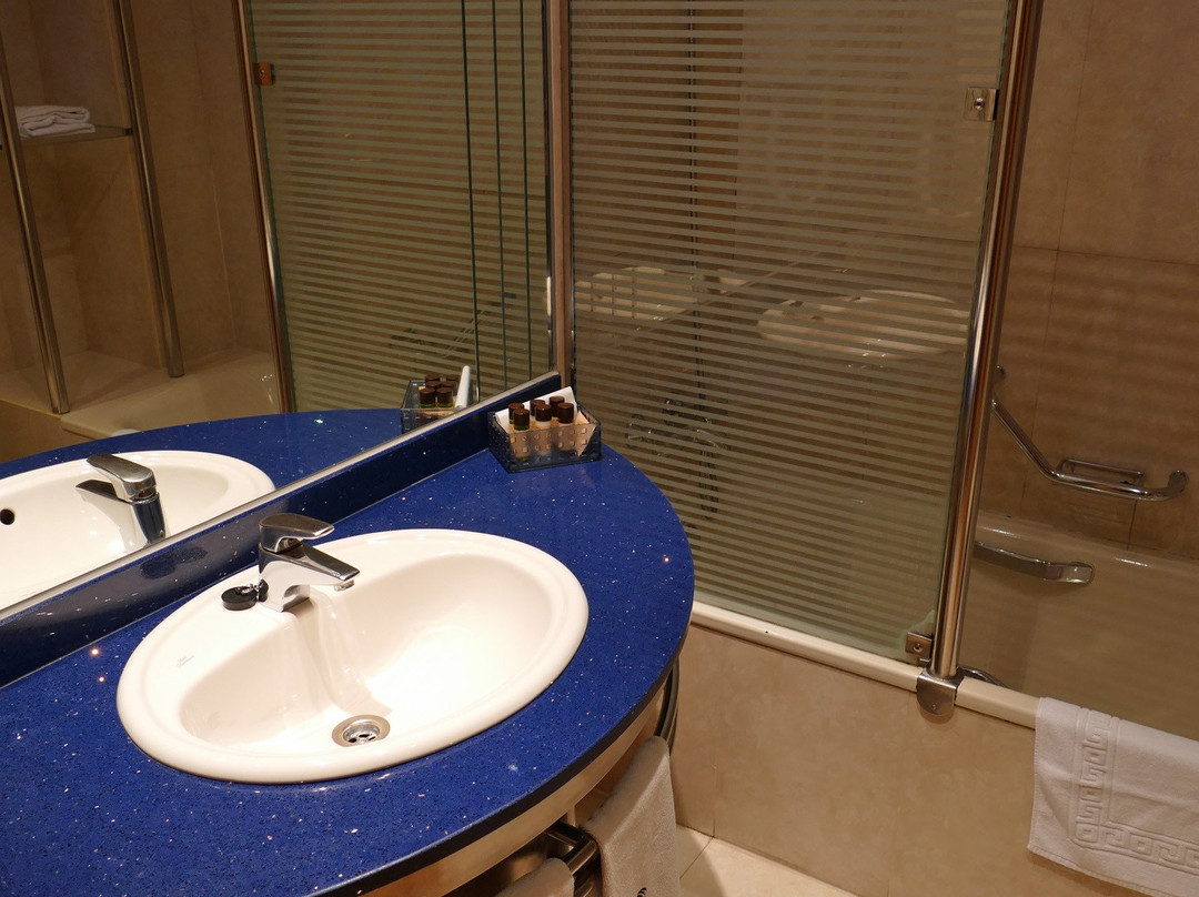 阿雷特科萨特酒店主图