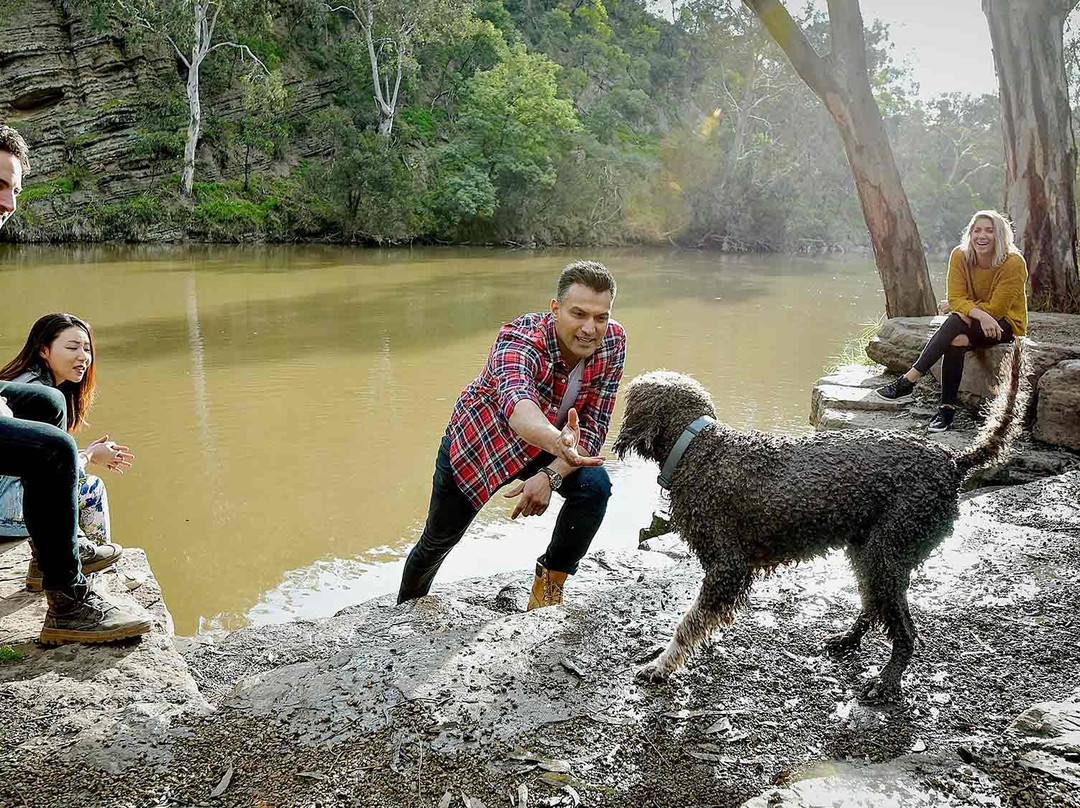 Yarra Bend Park-费尔菲尔德必去景点