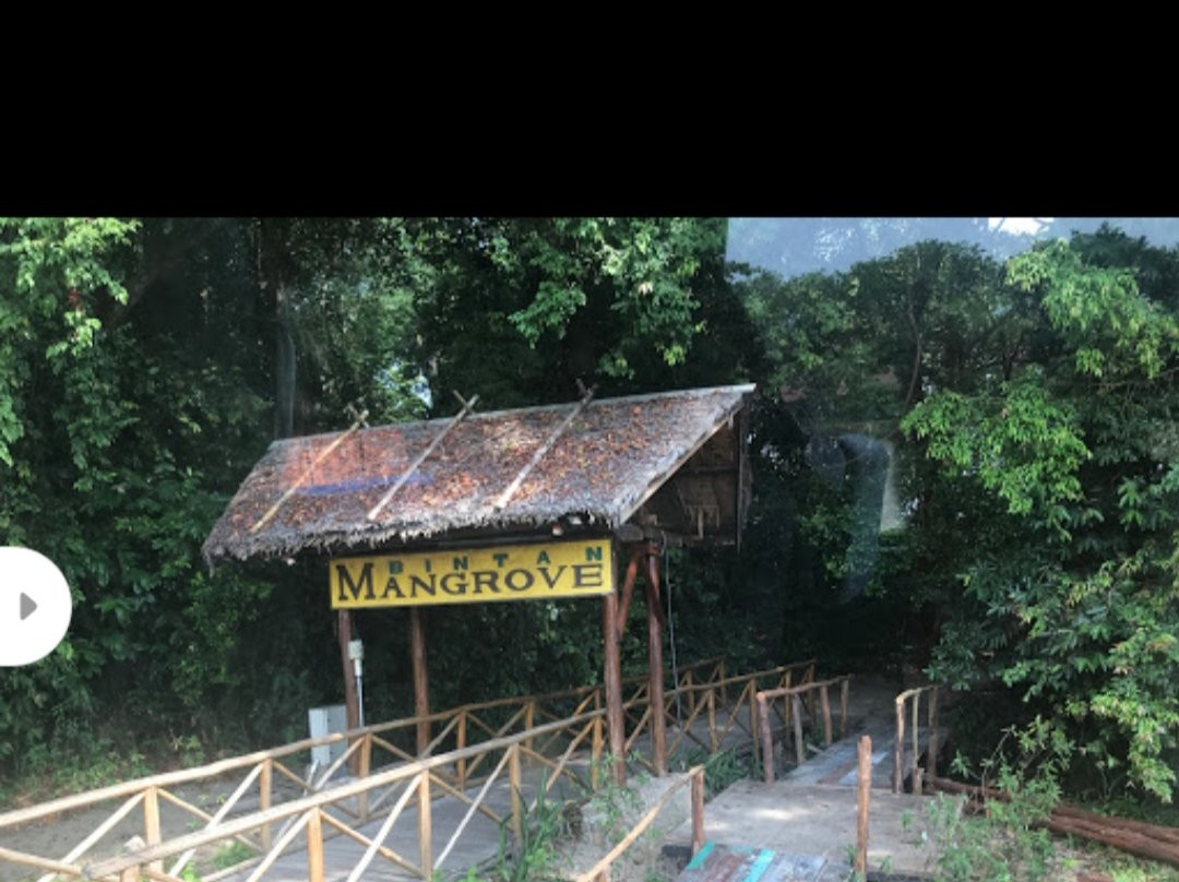 Bintan Mangrove Discovery - Day Tour景点图片