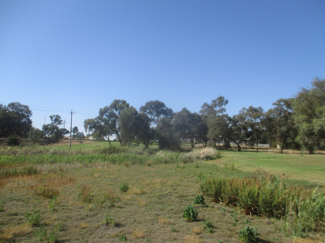 Buronga Wetlands-Buronga必去景点