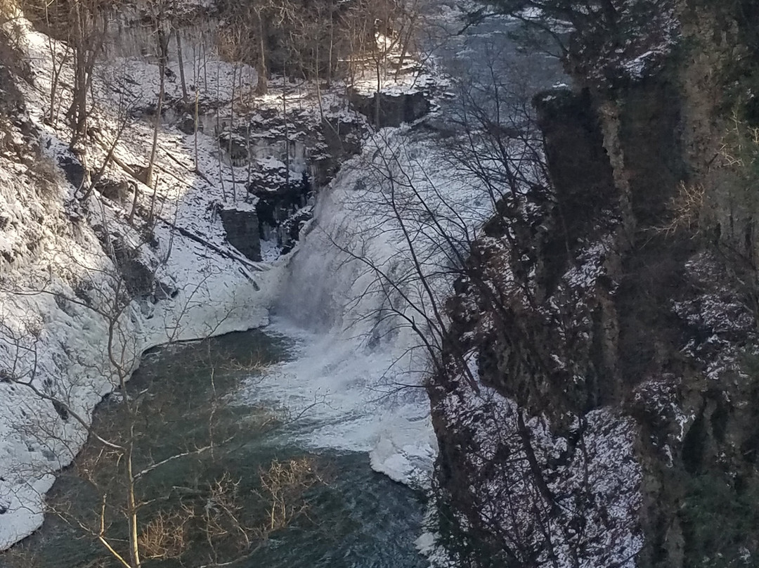 Ithaca Falls Natural Area景点图片
