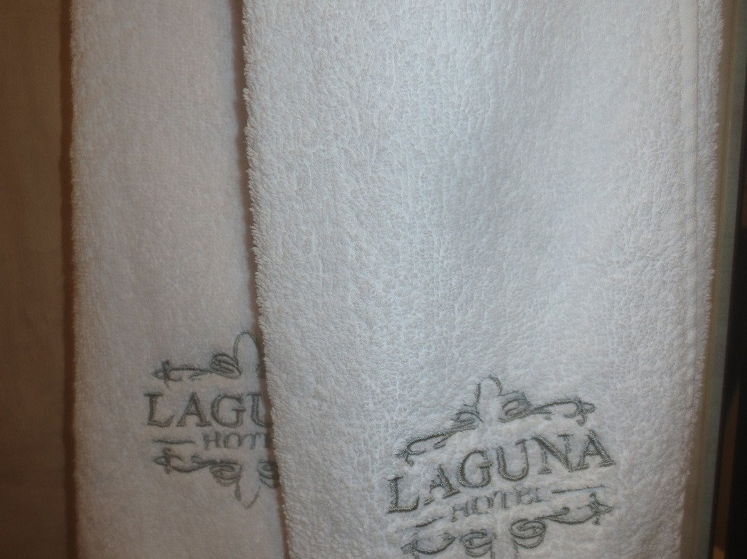 Laguna Hotel主图