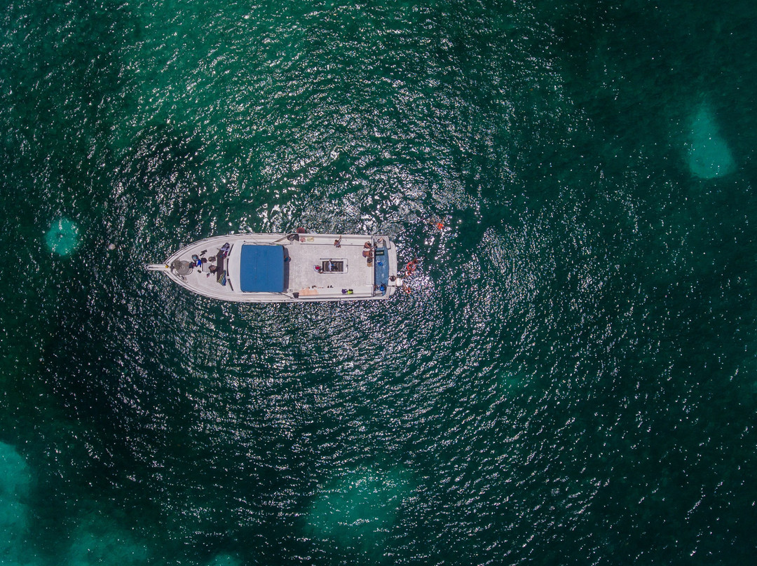 Asterix Contoy Tours-Isla Contoy必去景点