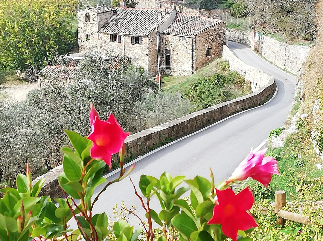 Castello di Montefioralle景点图片