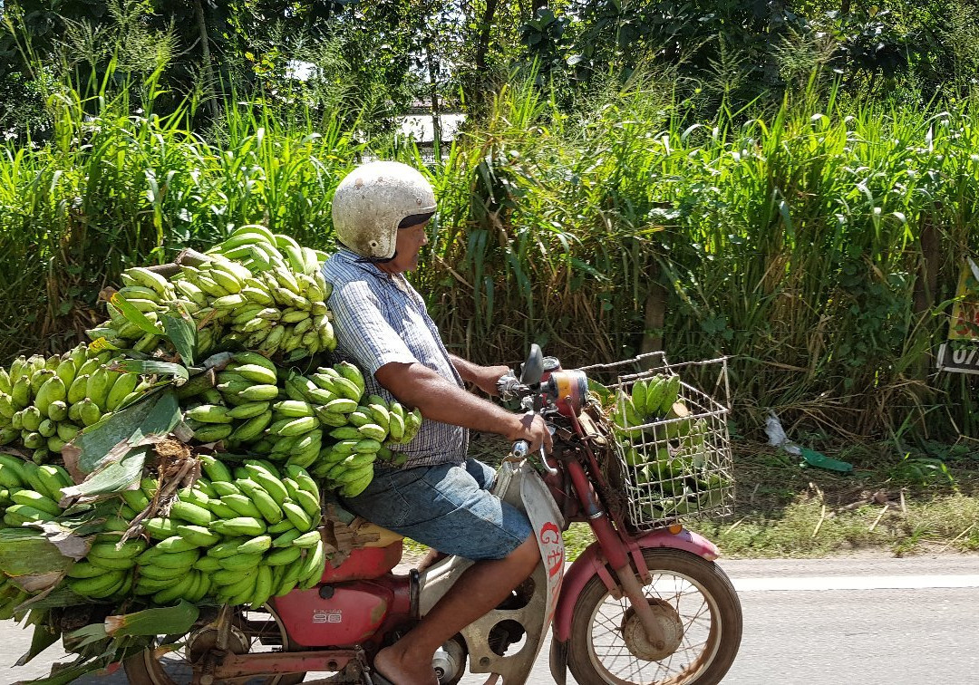 Hikkaduwa Taxi Service-希克杜沃必去景点