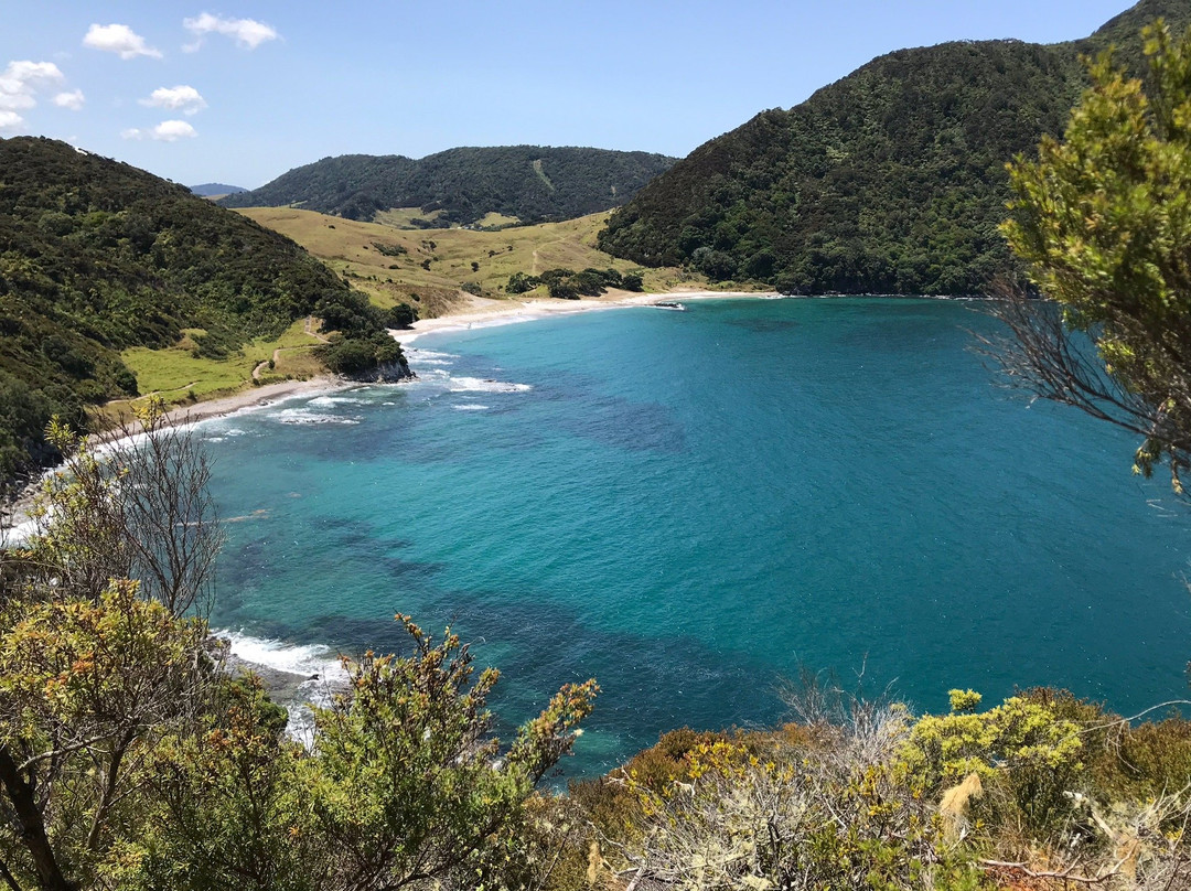 Bream Head Coast Walks景点图片