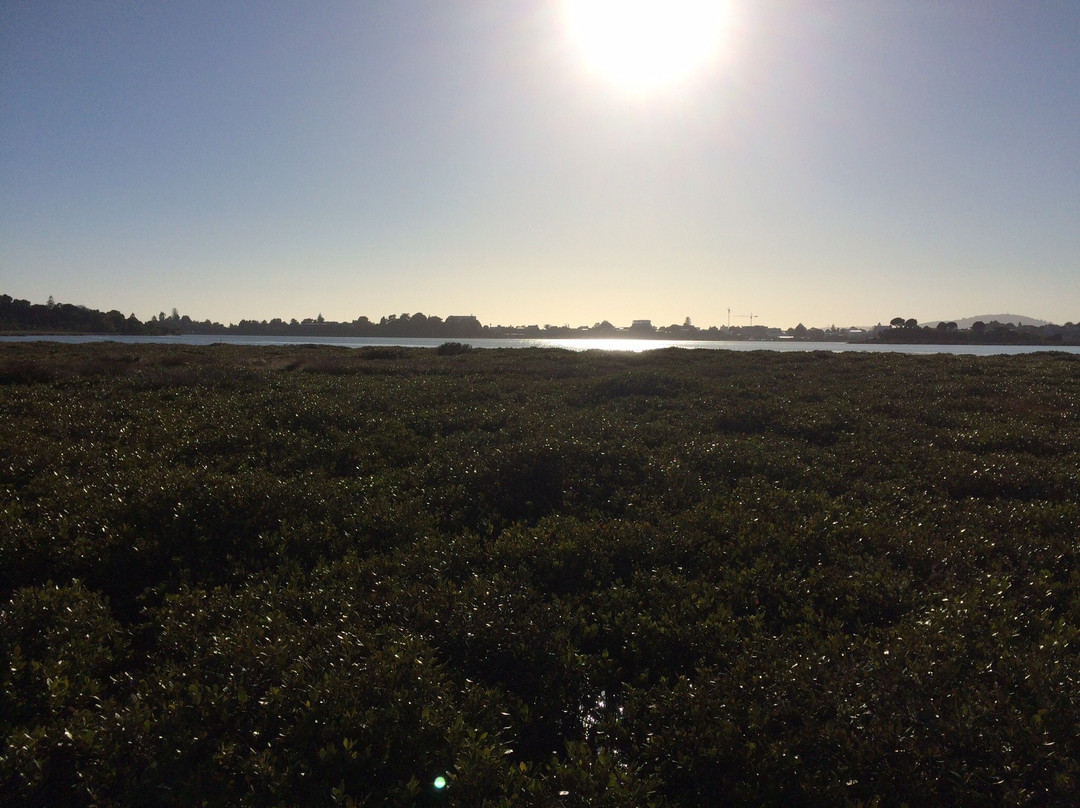 Waikareao Estuary景点图片