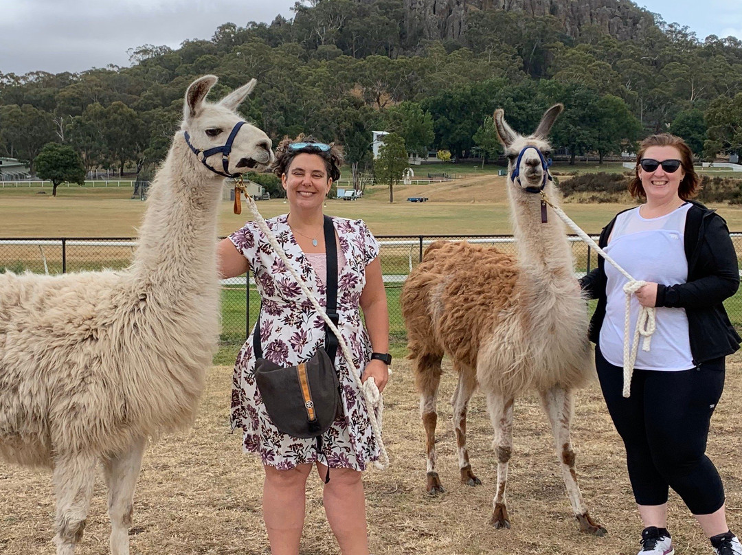 Hanging Rock Llama Treks-Woodend必去景点