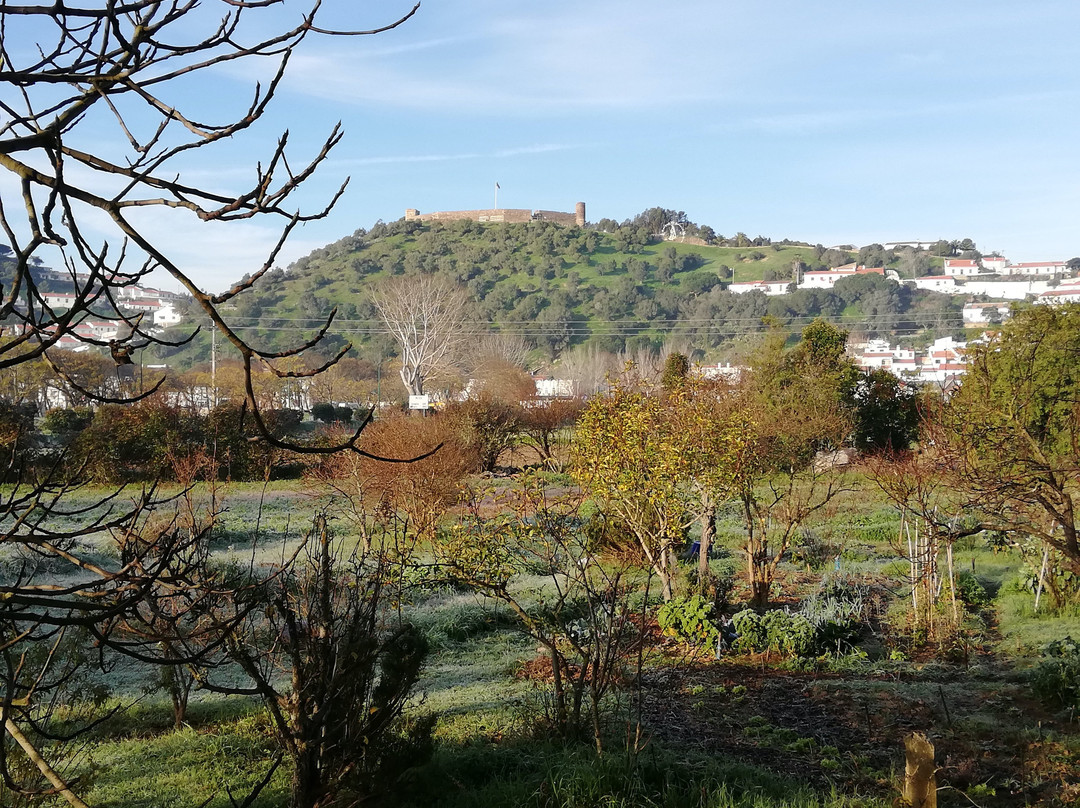 Vicentina Hotel主图