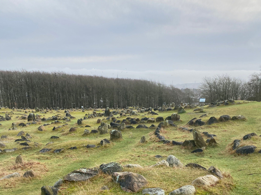 Vikingemuseet Lindholm Høje景点图片
