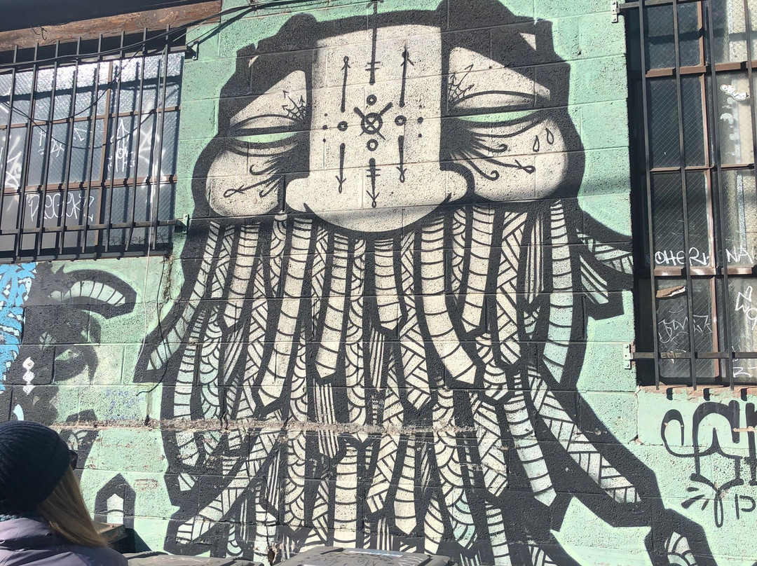 Denver Graffiti Tour-丹佛必去景点
