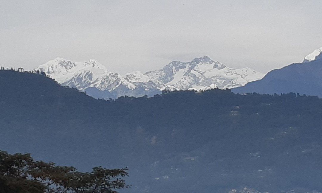 The Red Mud Chalet主图