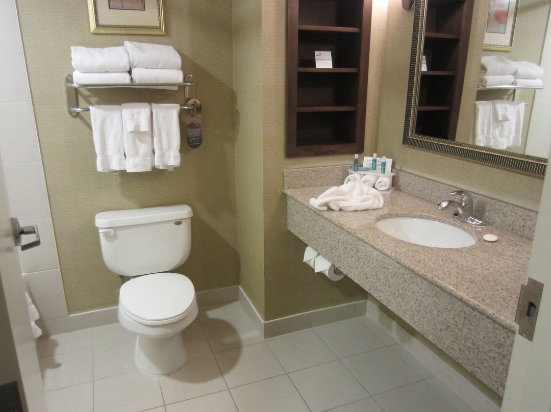 亨茨维尔智选假日套房酒店主图