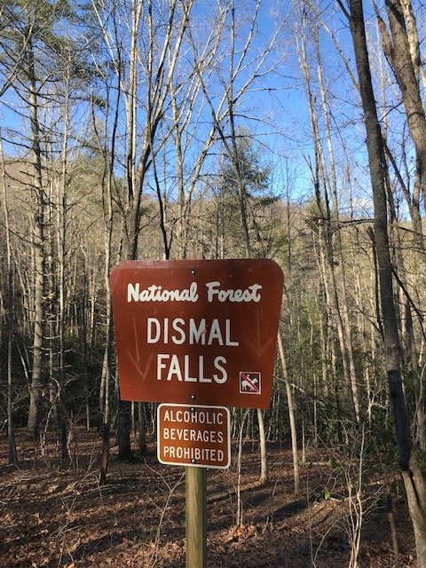 Dismal Falls景点图片