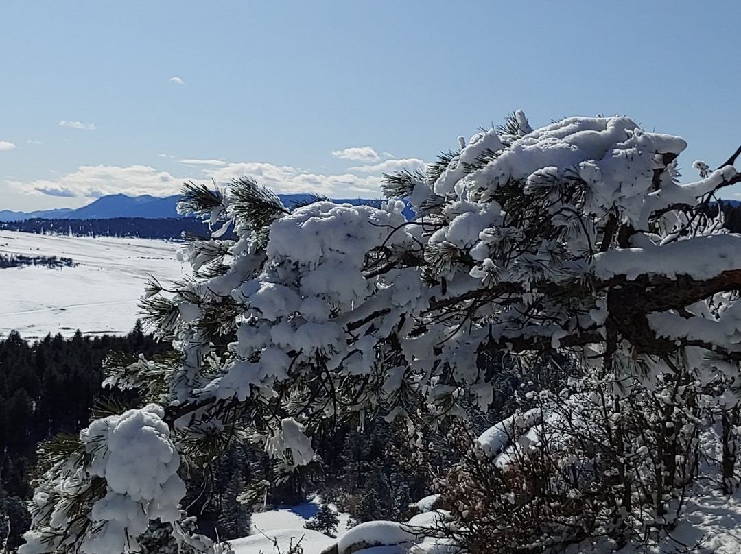 Spruce Mountain Open Space and Trail-罗克堡必去景点