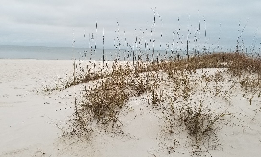 Orange Beach Waterfront Park-橙色海湾必去景点