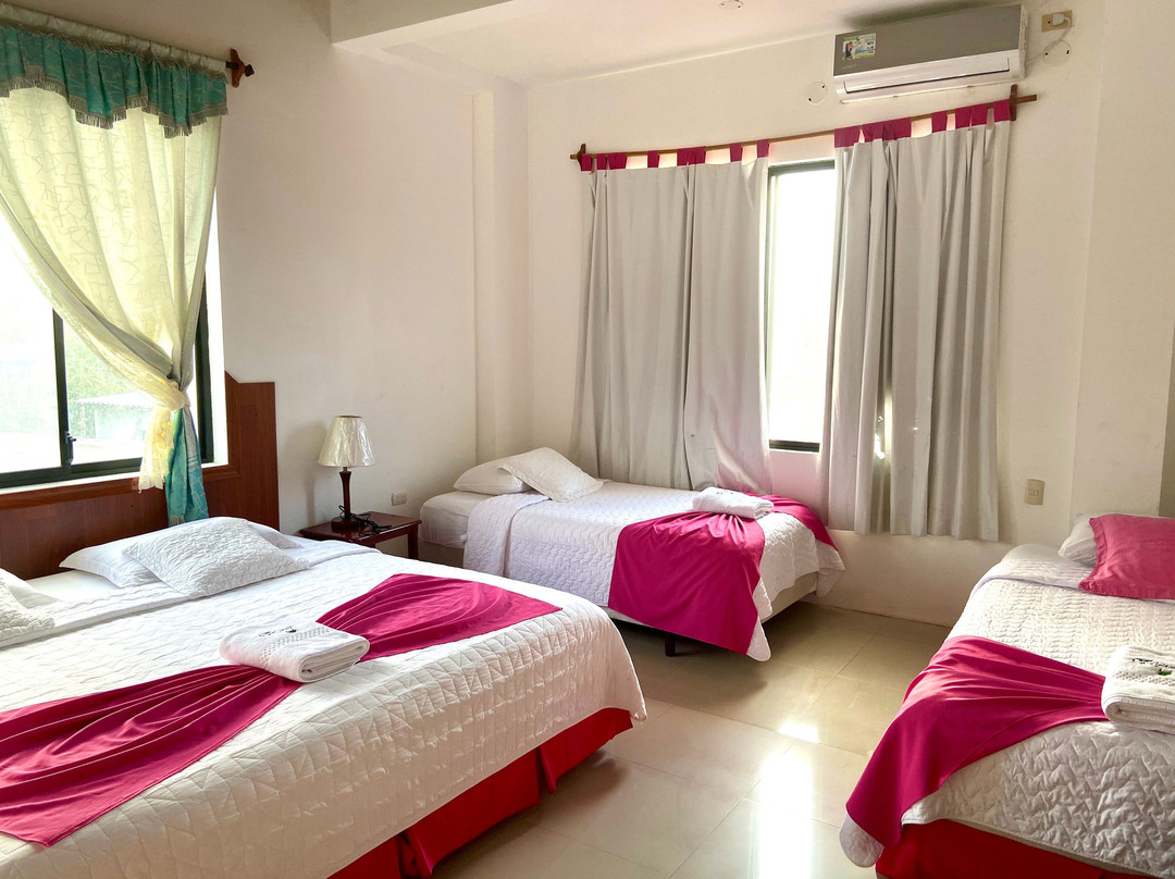 La Gran Tortuga主图