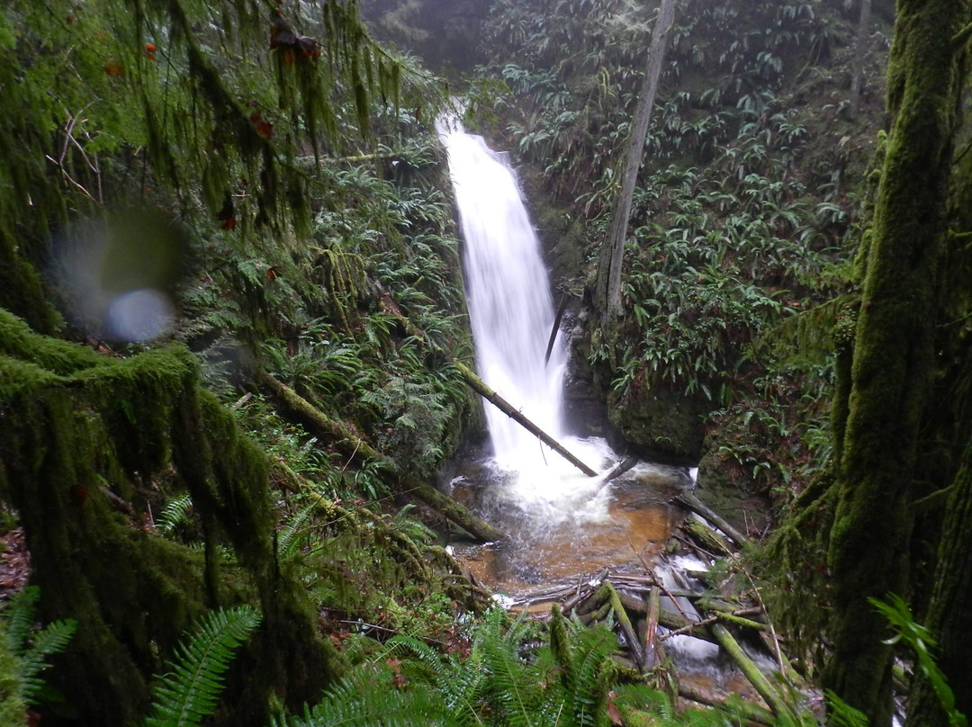 Burnett Falls Park-Sechelt必去景点