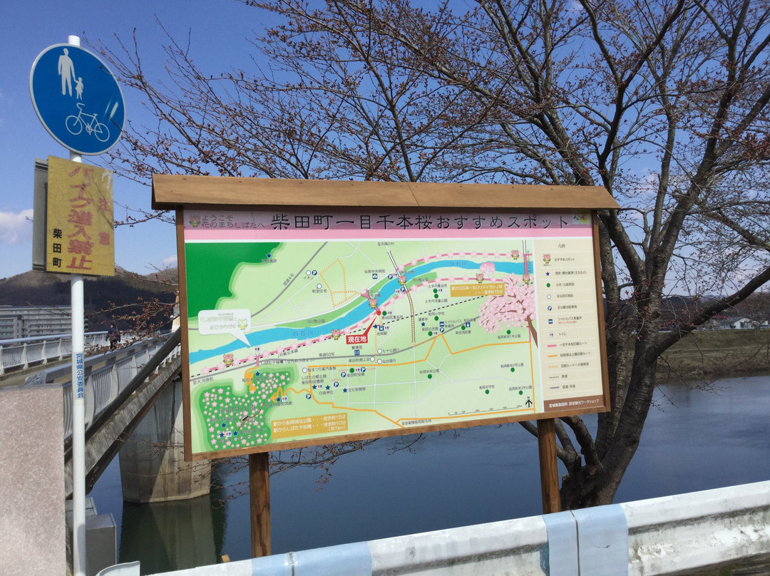 Sakurahodo Bridge-柴田町必去景点