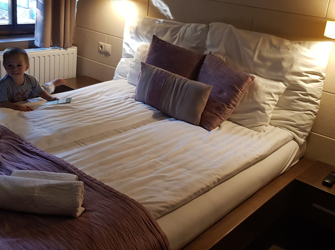 Hotel Furdohaz主图