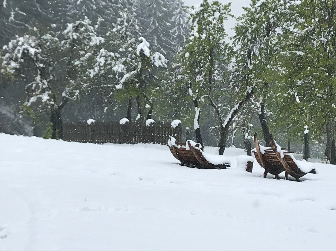 Landhotel Lerch Plankenau主图