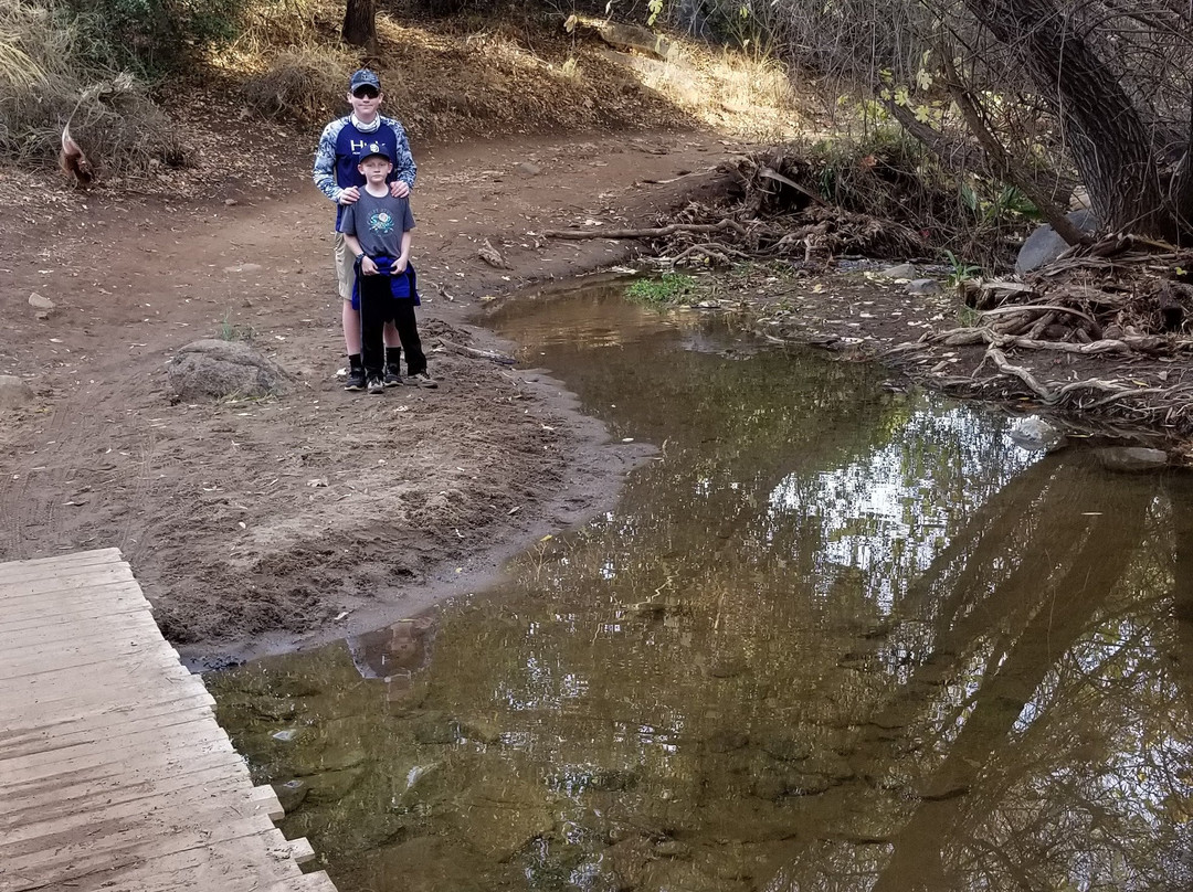 Lake Hodges Pedestrian Suspension Bridge景点图片