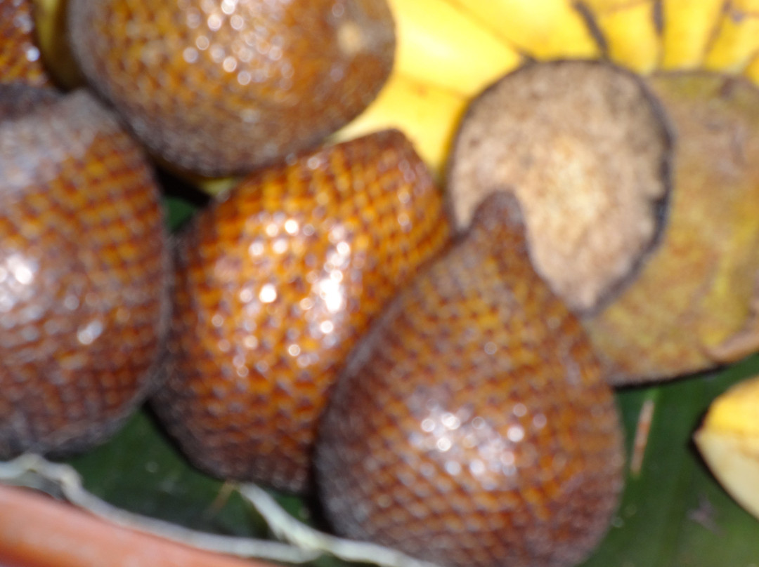 婆罗浮屠曼诺哈拉假日酒店主图