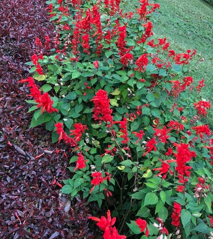 Anna Park-亚尔考德必去景点