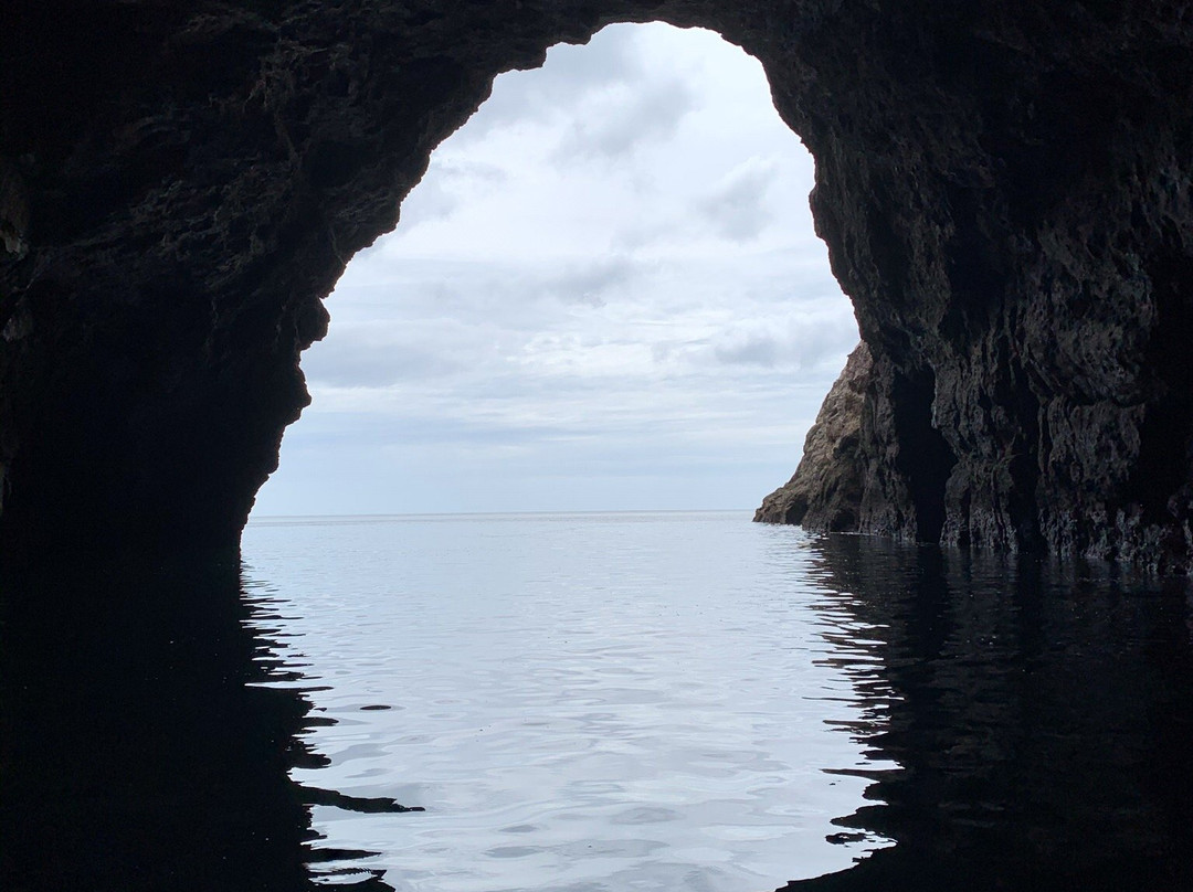 Tui Tours-奥克兰中心地区必去景点