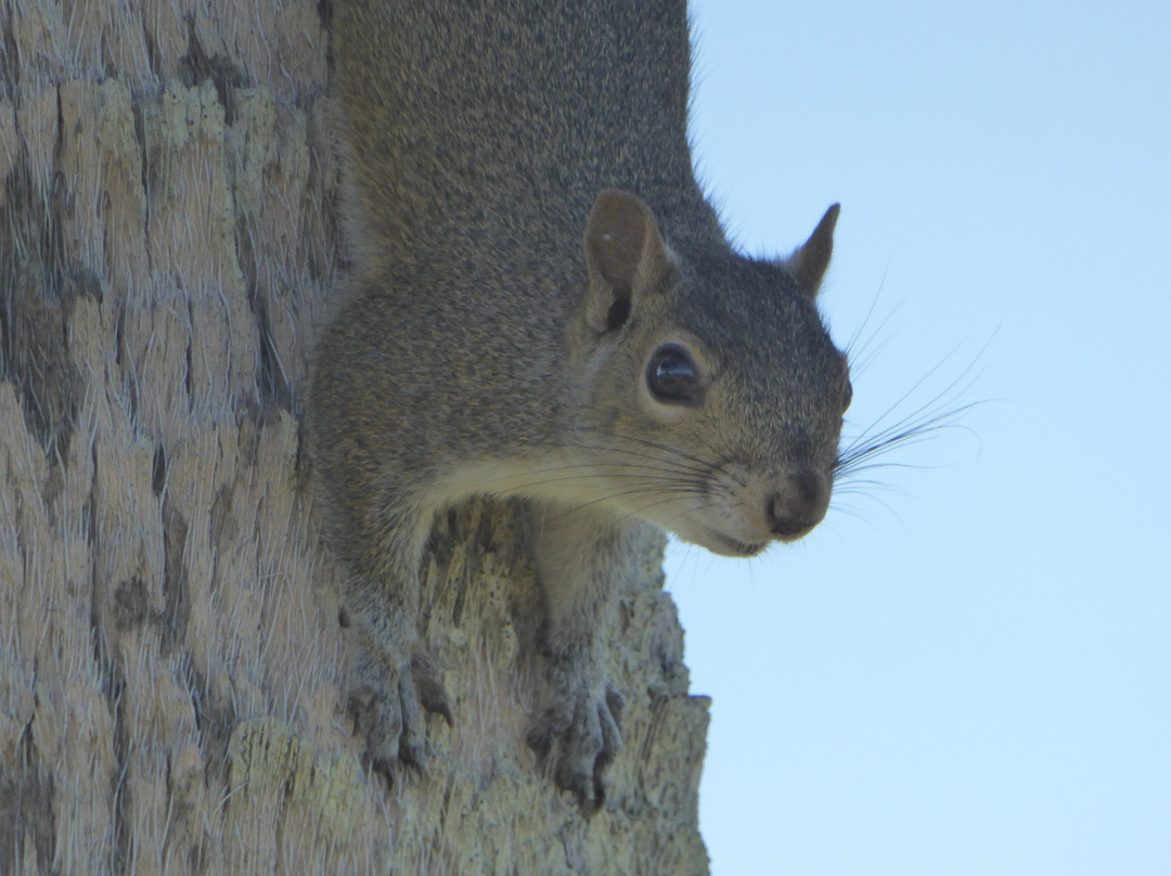 Riviera Park-奥蒙德海滩必去景点