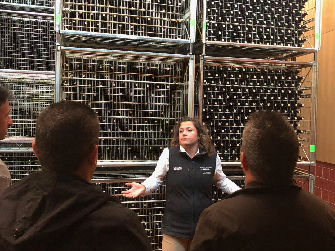 Pago de Carraovejas Winery景点图片