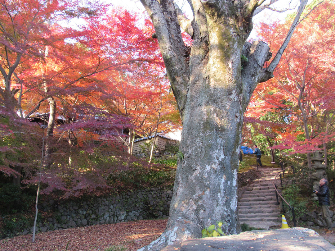 Matsunaga Memorial景点图片