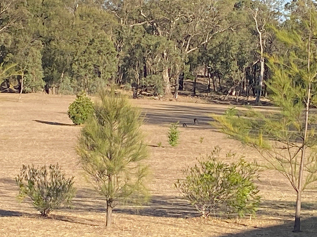 Warrumbungles Mountain Motel主图