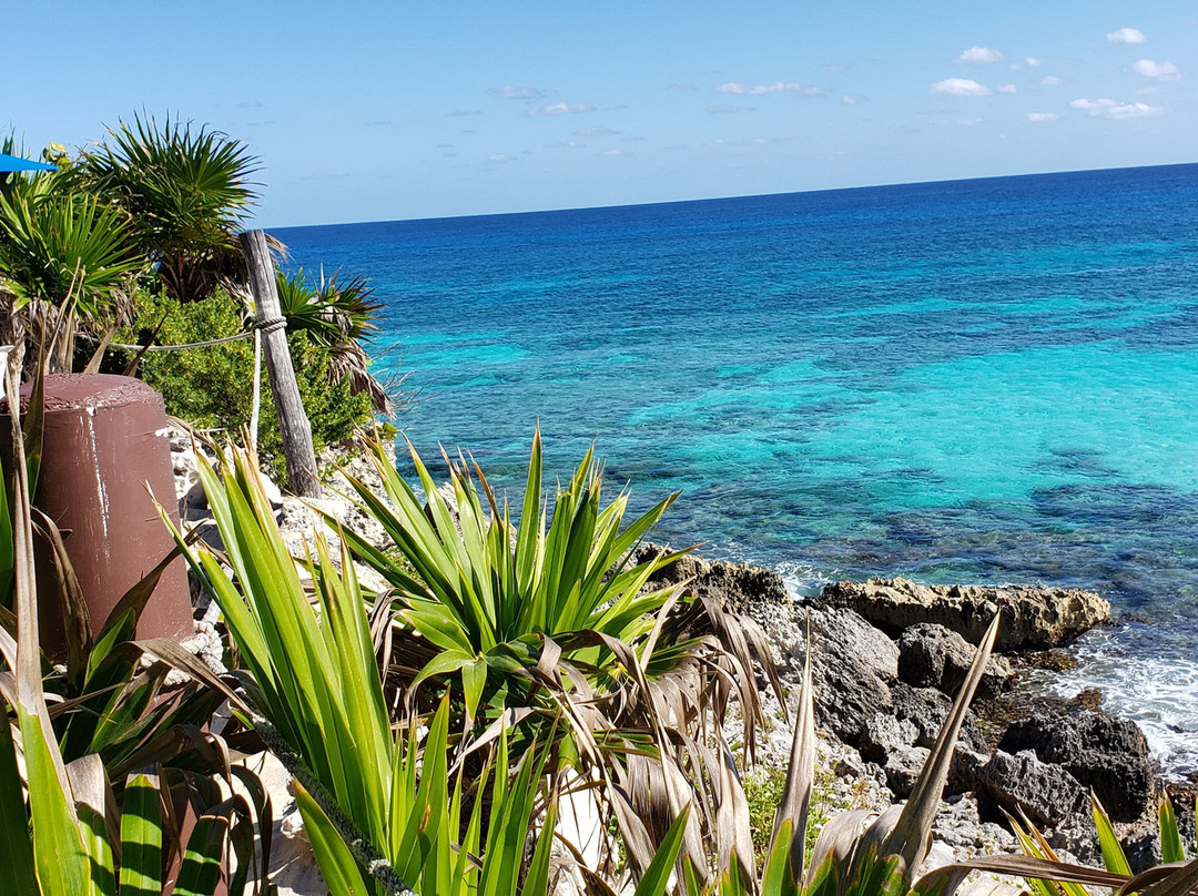 Safe Tours Cozumel-考祖梅必去景点