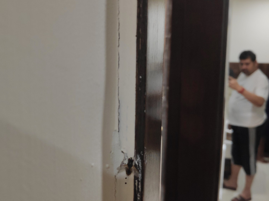 The English Garden主图