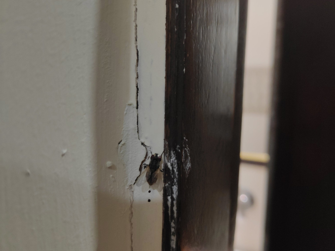 The English Garden主图