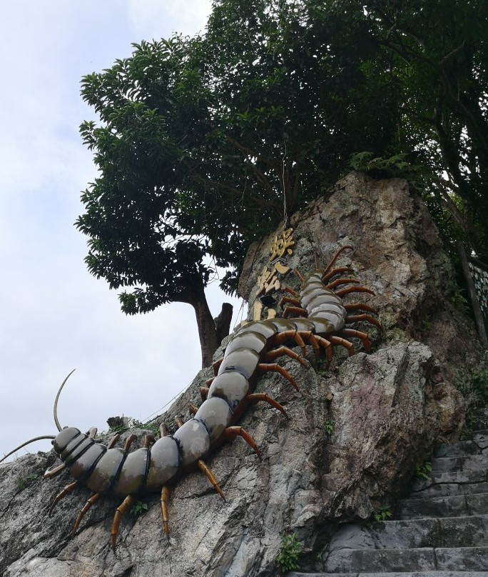 Centipede Temple-芙蓉必去景点