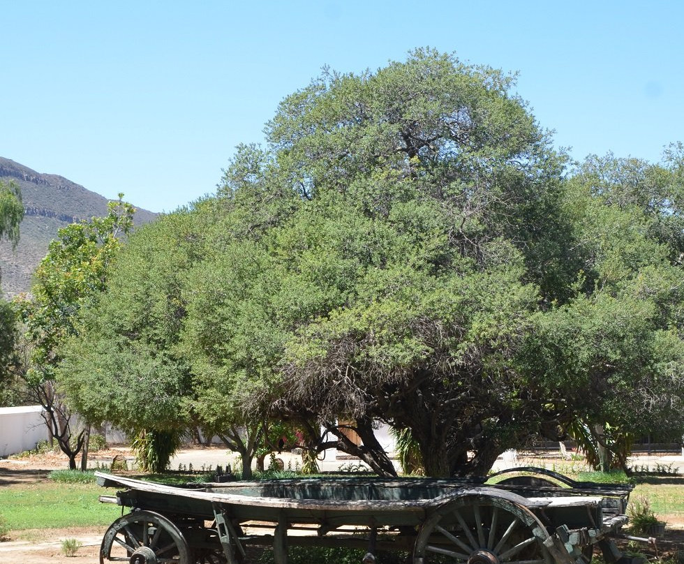 The Reinet House-格拉夫-里内特必去景点