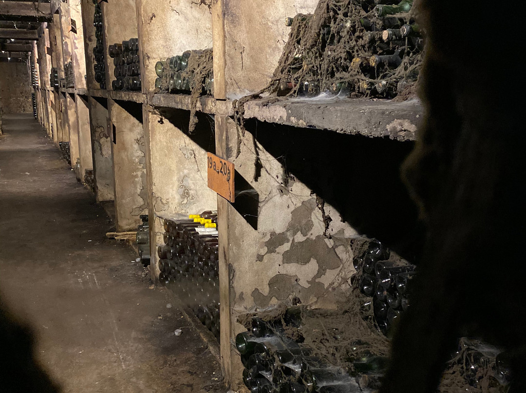 Chateau Musar-Ghazir必去景点