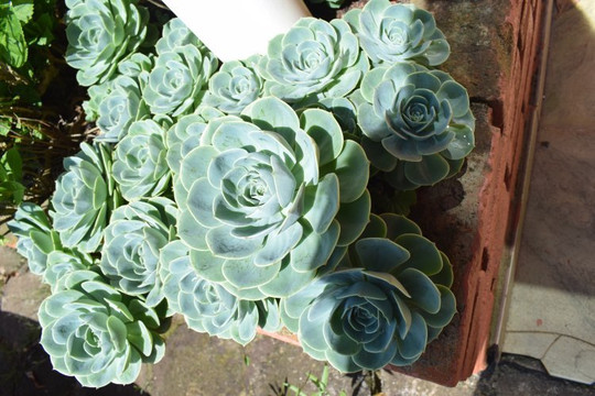 Pousada Sol Da Montanha主图