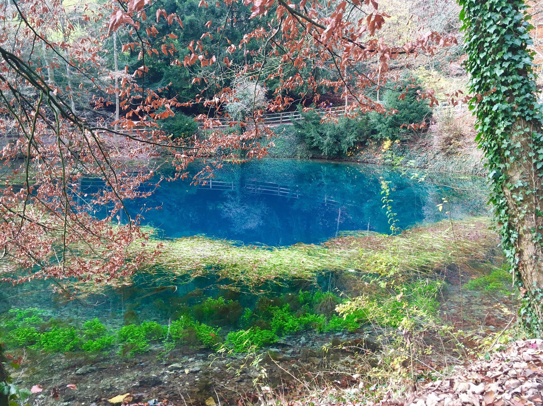 Blautopf景点图片