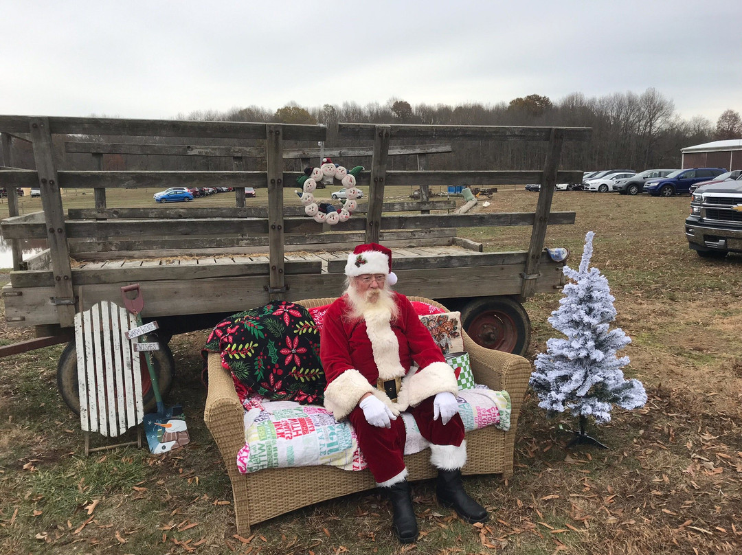 Hill Billy Hills Alpaca Farm-纽瓦克必去景点