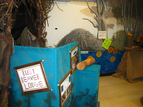 Mosquito Hill Nature Center-New London必去景点