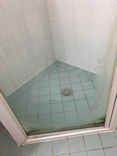 Wisemans Retreat主图