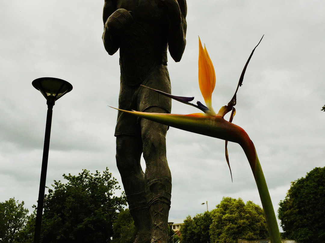 Lionel Rose Statue-沃拉格尔必去景点